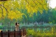 91永久发地布地扯麻豆-91发地，永久性记录的数字卷宗