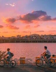 不卡国产一区二区-探索国产一区二区的流畅体验，不卡顿的魅力