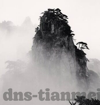 大象传媒的频道-大象传媒，多元化频道的精彩舞台