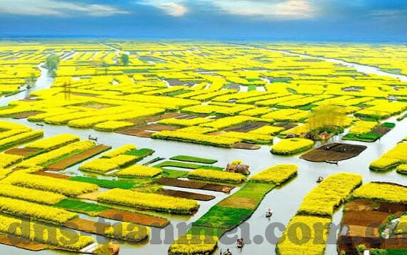 精品视频一区二区三区-精品视频内容分区，一区、二区、三区的独特魅力与价值