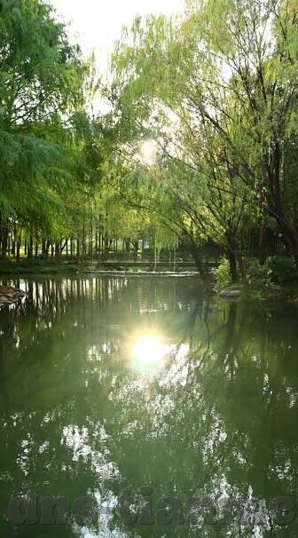 麻豆日记app在线观看-幸福时光里——探索麻豆日记App的奇妙世界