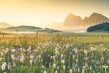 麻豆污污视频-网络探秘，理解与防范网络色情内容的危害