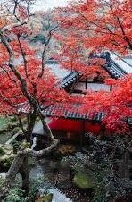 日韩欧美一区二区三区四区-探索全球影视文化的多元魅力，日韩欧美一区二区三区四区的独特视角