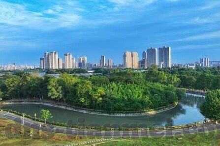 糖心app兑换码-解锁专属福利——详解糖心app兑换码的隐藏秘密