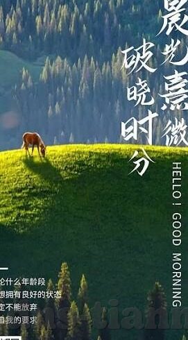 糖心app下载链接-探寻心动的瞬间，糖心APP的奇妙之旅