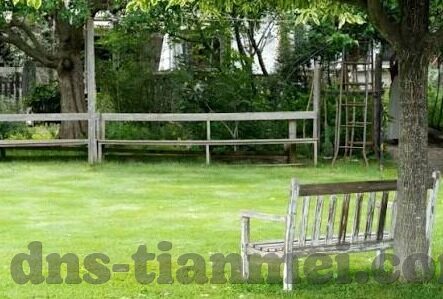 糖心视频app官网-糖心视频应用，尽享视界的选择与探索