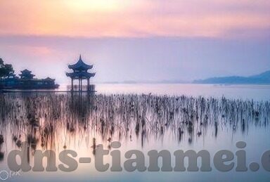 糖心vlog官网地址-探索糖心vlog的精彩世界，官网之旅的温馨指南
