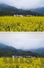 vlog糖心官网在线-糖心vlog，记录每一刻的甜蜜