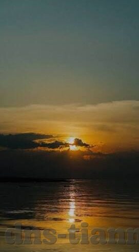 在线看麻豆视频-洞察潮流，在线观赏麻豆视频的多元视角与现代社会互动